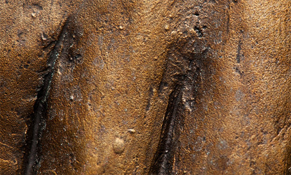 Textures Photoshop Bronze